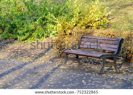 Autumn park with a benches in the sunny day.