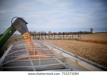 Combine harvester filling a waiting farm truck with freshly harvested maize kernels for transport to the farm or storage depot Royalty-Free Stock Photo #752371084