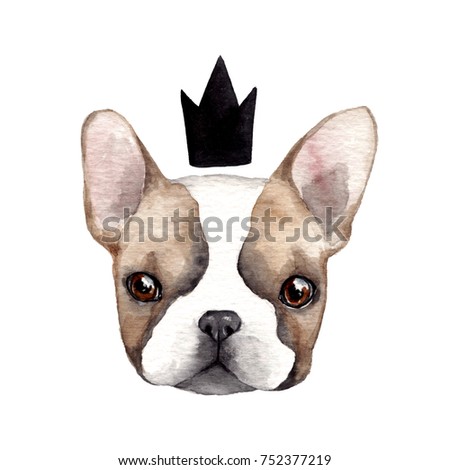 Cute french bulldog with crown.