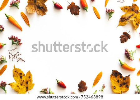 Autumn arrangement with colorful leaves, flowers and peppers on white background.
