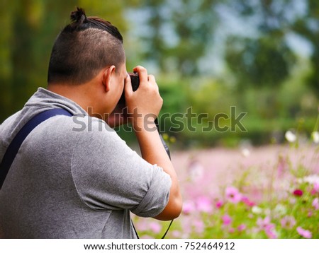 asian tourist is taking a photo in cosmos flower field blur  background
