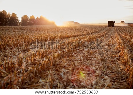 Farmers harvesting maize during golden hour with the rows of cut stubble backlit by the setting sun with a combine harvester and semi in the distance Royalty-Free Stock Photo #752530639