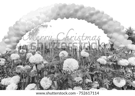 Flowers and balloons for the Christmas celebration.Style black and white.