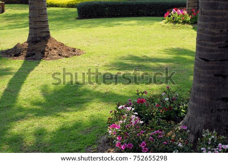 Flowers Gardens with Grass in the Gardens