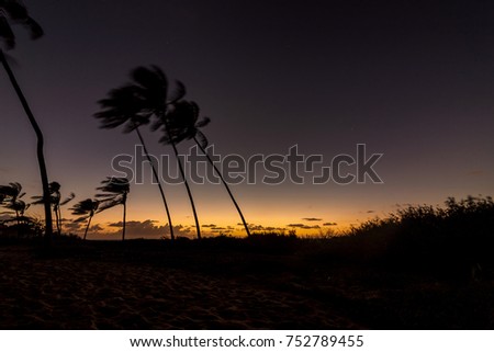 Praia do Forte, Bahia, Brazil. July 2017. Before sunrise