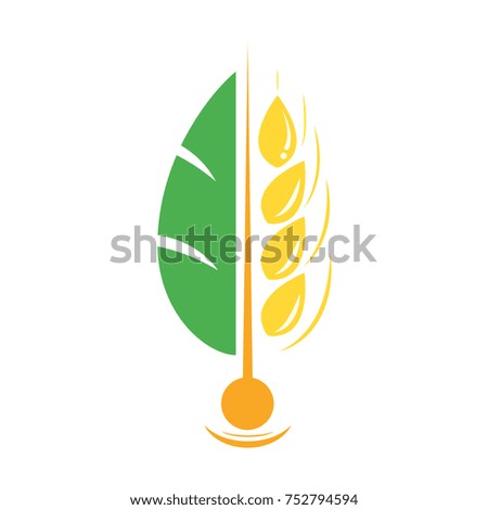 Agriculture Wheat Vector Logo Template Icon Design