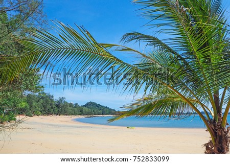 Beautiful panoramic view of sand beach with coconut tree in summer vacation on the island of Koh Phayam, Thailand.