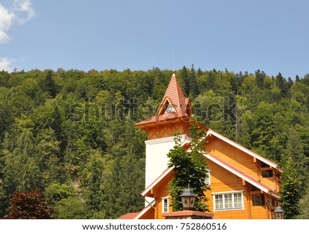 A house in a coniferous forest.