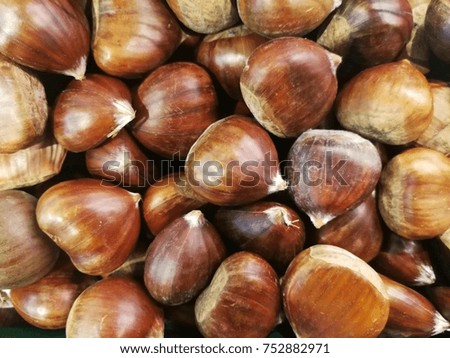Chestnut textured and background 