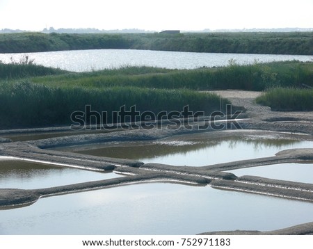 Earth Dams with salt crust in a sea saltworks ,Grass,  bushes and an lake in the background