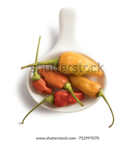 Group of chilis  on a ceramic spoon isolated on white