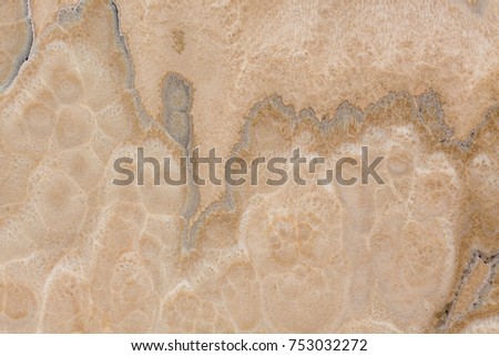 Brown onyx decorative stone texture. High resolution photo.