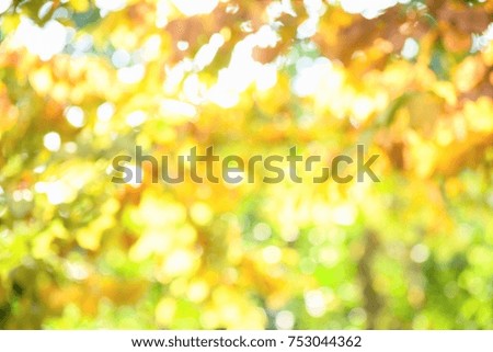 blur background  abstrct colorful
