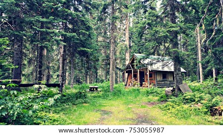 A secluded cabin in the woods. Royalty-Free Stock Photo #753055987