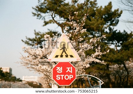 Cherry blossoms and sign