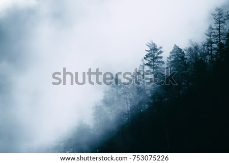 blue misty forest