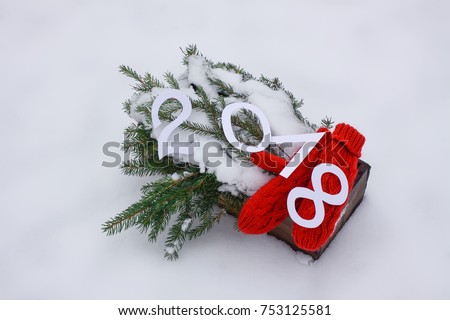 Red mittens, paper numbers 2018 and green fir tree branches in wooden decorative box on snow.