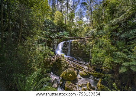 Ampitheatre Falls Toorongo Falls Victoria Australia