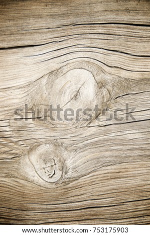 Wood background close up at high resolution