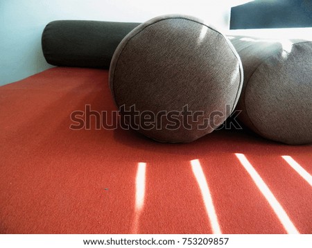 Stylish living room. Couch with cushion pillow