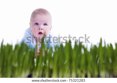 Kid Crawl through the grass. On a white background