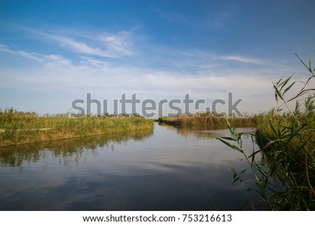 River in Delta Ebro
