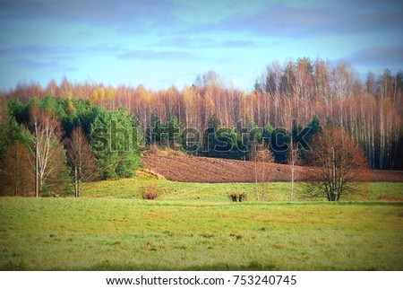 view across the green meadow to the ploughed field in the autumn landscape