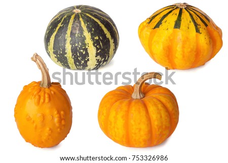 Cute small decorative pumpkins isolated on white background