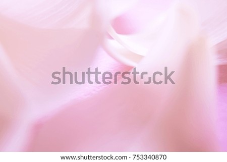petal of the lotus blossom soft and blur focus, made with gradient and filter colored for background and postcard,Abstract,texture,pink.
