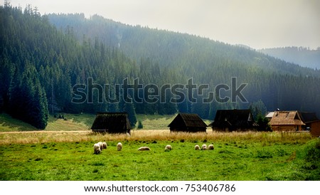 Mountain valley in Poland, Tatra Mountains