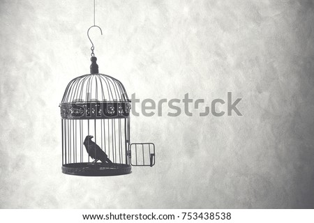 freedom concept, bird in an open cage  Royalty-Free Stock Photo #753438538