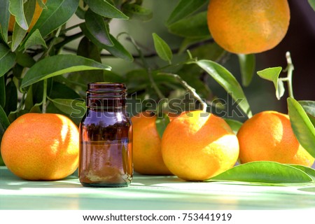 Tangerines and citrus oil in a bottle. Royalty-Free Stock Photo #753441919