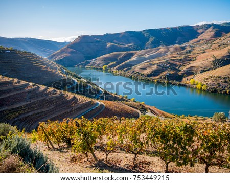 Douro river and wine Royalty-Free Stock Photo #753449215