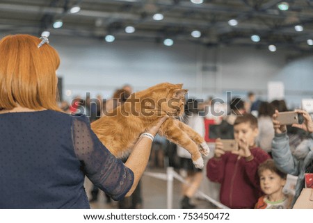A woman is holding a big red cat