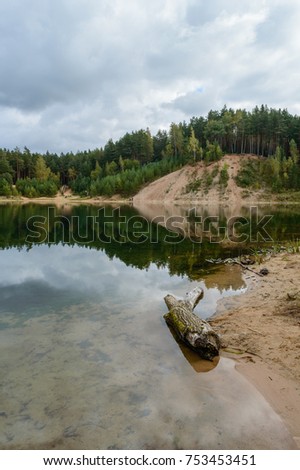 scenic wetlands with country lake or river in summer. reflections in water with forest and grassland