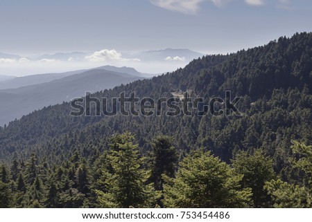 Mountain landscape. View of the mountains, pine forests in the morning, foggy day (western Greece, mountain Nafpaktia)