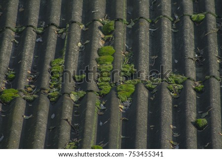 Moss on the roof Royalty-Free Stock Photo #753455341