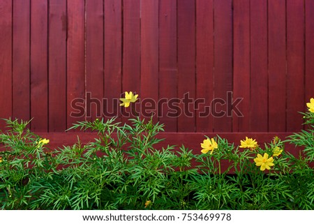 Green leaves and little yellow flowers against a painted wooden fence. Free space  for text or other inset content. Soft focus. Vintage tone. Retro style. Natural background.