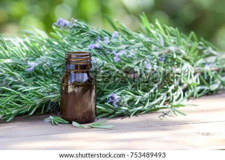Rosemary oil and rosemary plant. Healing herbs. Royalty-Free Stock Photo #753489493
