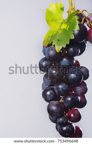 Bunch of large organic table dark grapes on light gray background copy space