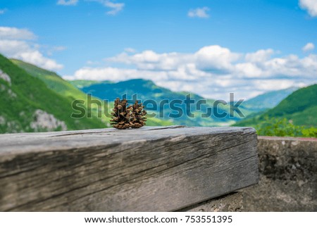 Two pine cones lie on a log among the mountains.