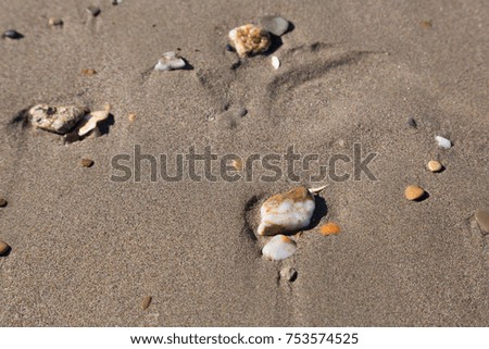sand and stones at the beach