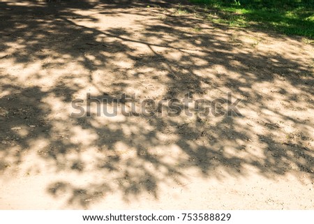 Shadow of tree on the ground.