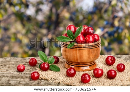 Cranberry with leaf in wooden bowl on old wooden table with blurry garden background.