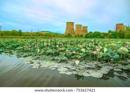 a large lake full of lotuses, followed by the distribution station is located. in the afternoon