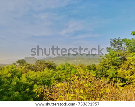 Forest and mountain range in sunlight. Beautiful landscape in nature. Picture with copy space