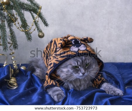 Funny cat uder the christmas tree