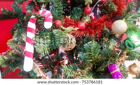Christmas decorations on tree background