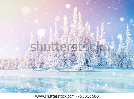 Mysterious landscape majestic blue ice lake is frozen on the front.  Magical snow covered tree. Photo greeting card. Bokeh light effect, soft filter. Carpathian Ukraine. Happy New Year.