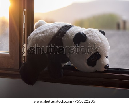 Stuffed bear panda